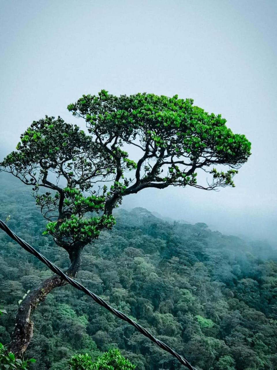 Dilani Adamspeak Riverstay Nallathanniya Екстериор снимка