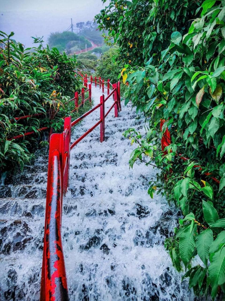 Dilani Adamspeak Riverstay Nallathanniya Екстериор снимка